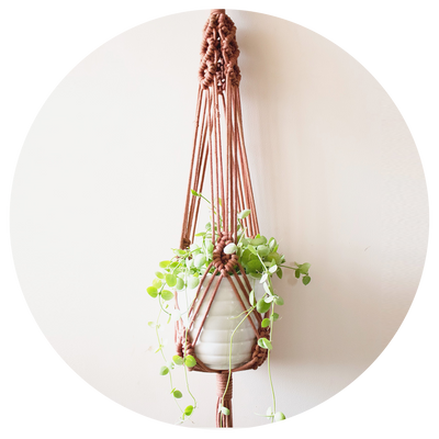 Plant Hanger