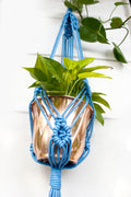 Sea eye plant hanger - Blue / White / Brown