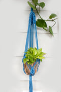 Sea eye plant hanger - Blue / White / Brown