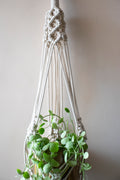 Sea eye plant hanger - Blue / White / Brown