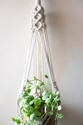 Sea eye plant hanger - Blue / White / Brown