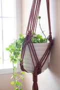 Sea eye plant hanger - Blue / White / Brown