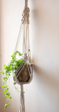 Sea eye plant hanger - Blue / White / Brown