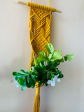Diamond plant hanger