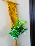 Diamond plant hanger