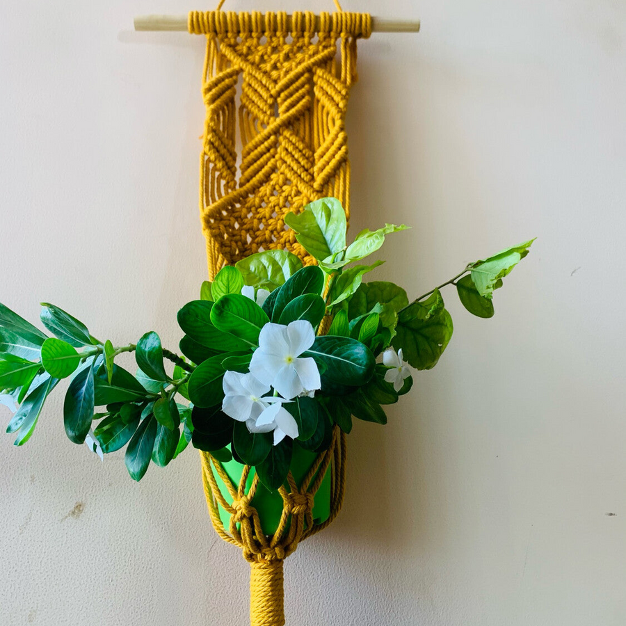 Diamond plant hanger