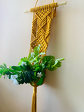 Diamond plant hanger