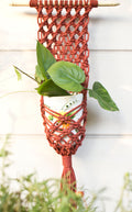Web plant hanger