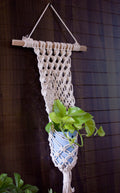Web plant hanger