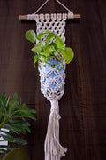 Web plant hanger