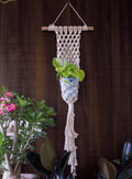Web plant hanger