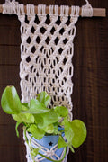 Web plant hanger