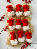 Santa Ornaments