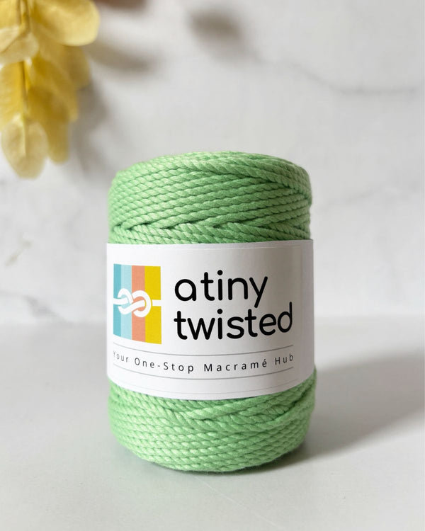 Mint- 2mm/3mm/4mm Twisted