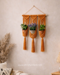 Triple plant hanger