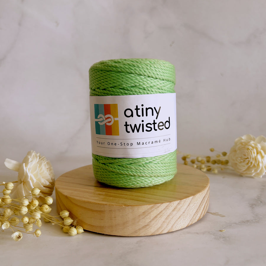 Mint- 2mm/3mm/4mm Twisted